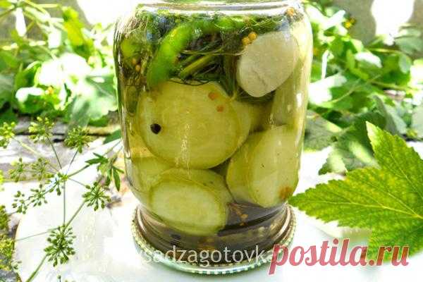 Кабачки маринованные — Сад Заготовка