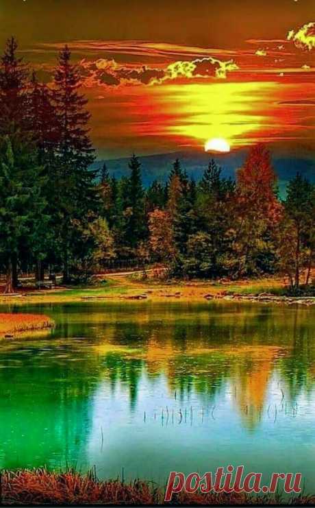 Eclectic Embers