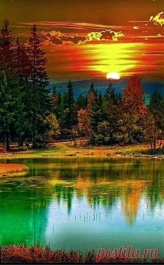 Eclectic Embers
