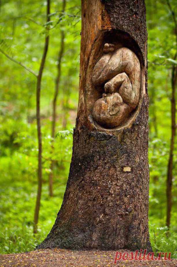 s-370.jpg (613×920)