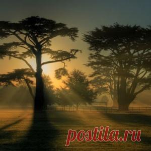 ПОДЕЛКИ ДЛЯ САДА: 10 ЛУЧШИХ МАСТЕР-КЛАССОВ - МирТесен