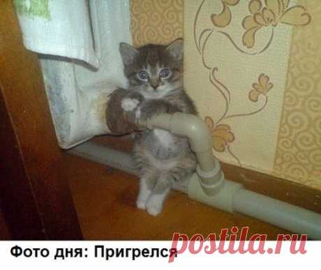 Одноклассники