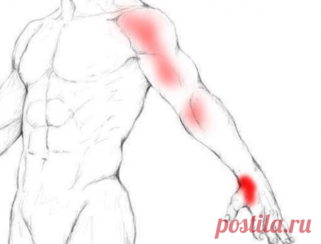 Боль в плечевой мышце Статья автора «Йога для начинающих для здоровья» в Дзене ✍: Боль в плечевой мышце, глубоко укрытой под бицепсом и отвечающей за сгибание локтя, нередко возникает как эхо чрезмерных нагрузок или...