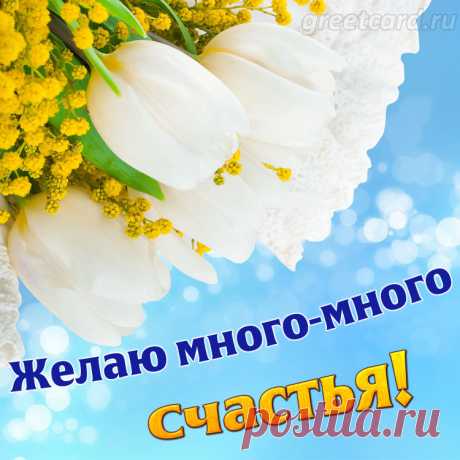 Жизнь тебя пускай балует,
Все всегда отлично будет.