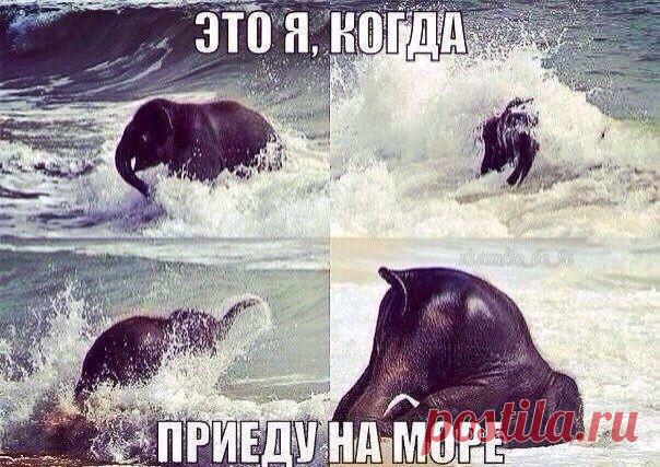 Клуб настоящих леди