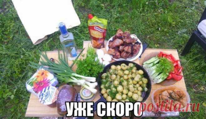 Плейкаст «Душевный пикничок! Где друзья-там скуке нет места!»