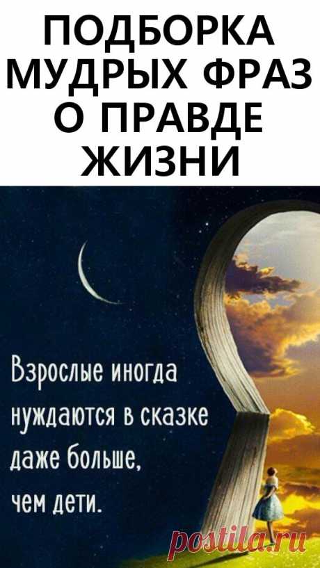 Подборка мудрых фраз о правде жизни