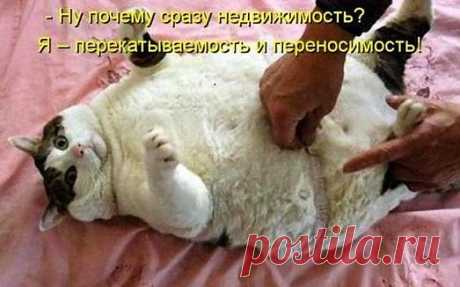 Чем опасен лишний вес и как с ним бороться