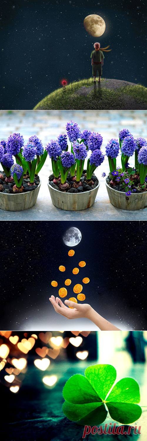 Полнолуние: лучшие обряды на деньги, удачу и любовь