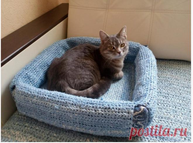 УСЫ, ЛАПЫ, ХВОСТ И ПЕТЕЛЬКИ. РУКОДЕЛИЕ ДЛЯ ТЕХ, КТО МУРЛЫЧЕТ ИЛИ ЛАЕТ У НОГ. ИДЕИ ДЛЯ ВАШЕГО ВДОХНОВЕНИЯ | Что вижу, то вяжу | Дзен