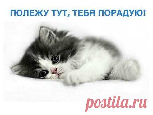 (99) Одноклассники
