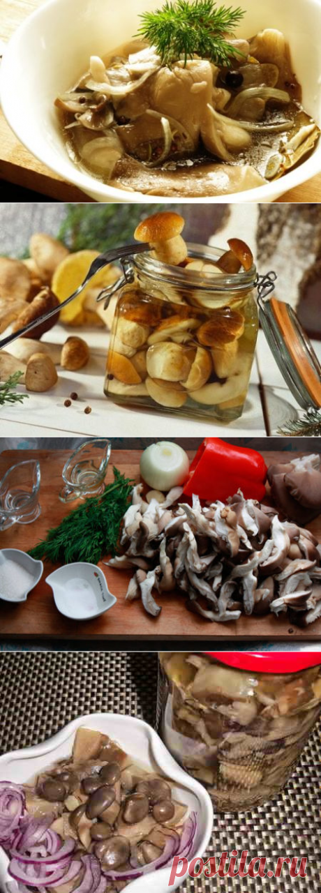 Маринованные вешенки в домашних условиях быстрого приготовления