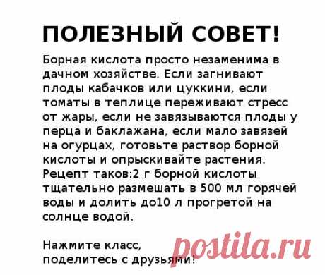 Дачник. Садовод. Огород | ВКонтакте