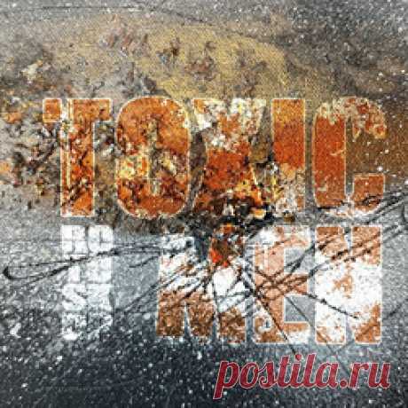 Rotoskop - Toxic Men (Single) (2025) 320kbps / FLAC