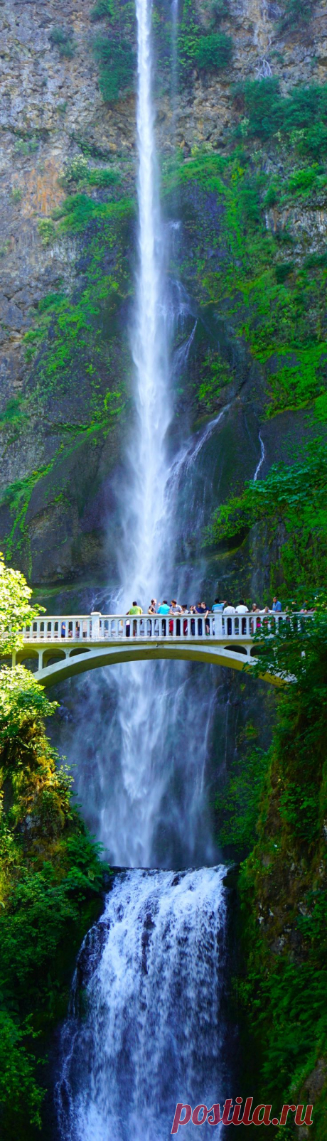 Multnomah Falls...one of the beautiful sites close to Portland, OR. Zach and I fell in love with it the first time we saw it 49 years ago.  |  Найдено на сайте discover0.com.