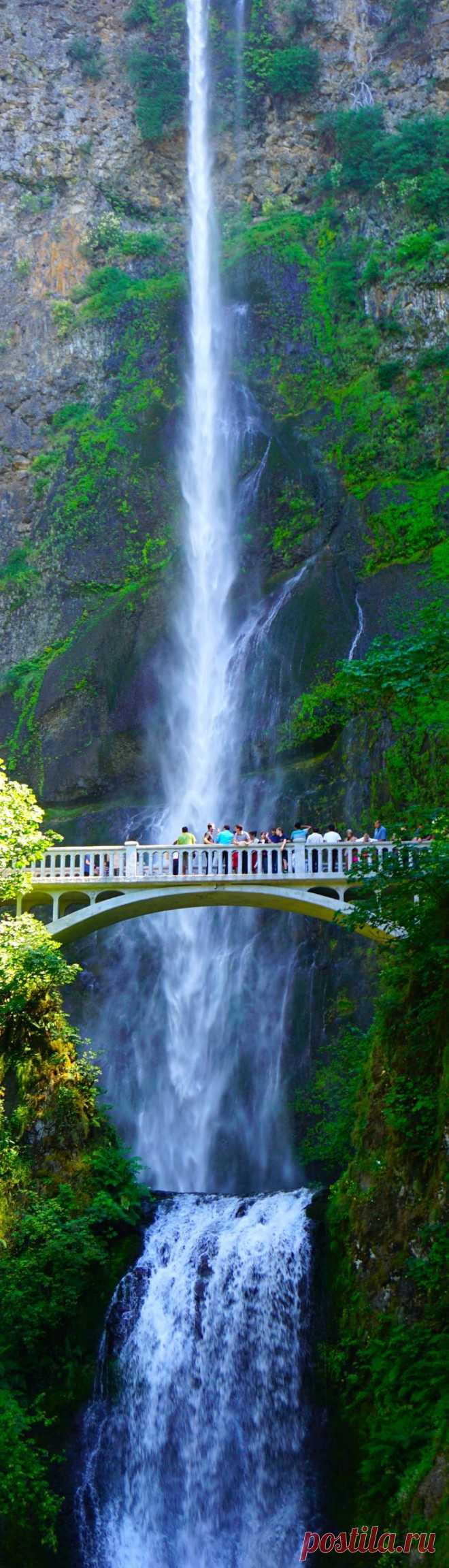 Multnomah Falls...one of the beautiful sites close to Portland, OR. Zach and I fell in love with it the first time we saw it 49 years ago.  |  Найдено на сайте discover0.com.