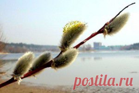 Заговоры на Пасху.... | Познавательный сайт ,,1000 мелочей&quot;