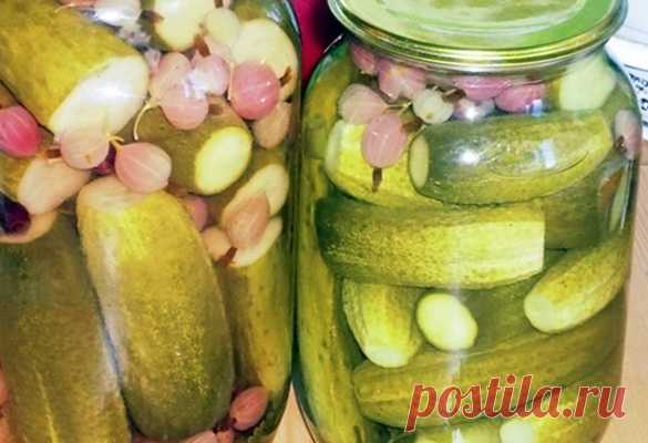 Нестандартные заготовки из огурцов на зиму: золотые рецепты