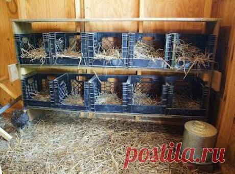 (849) Pinterest: инструмент для поиска и хранения интересных идей