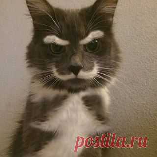 Оксана Дюкова