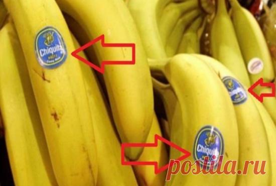 Что означают наклейки на фруктах - Сам себе волшебник