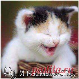 (1) Facebook