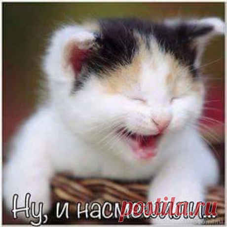 (1) Facebook
