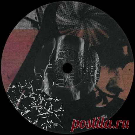 Ali Demir - Tool for G [Distrakt Audio]