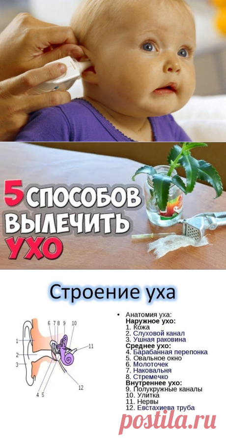 (1) Одноклассники