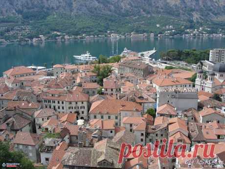 Kotor