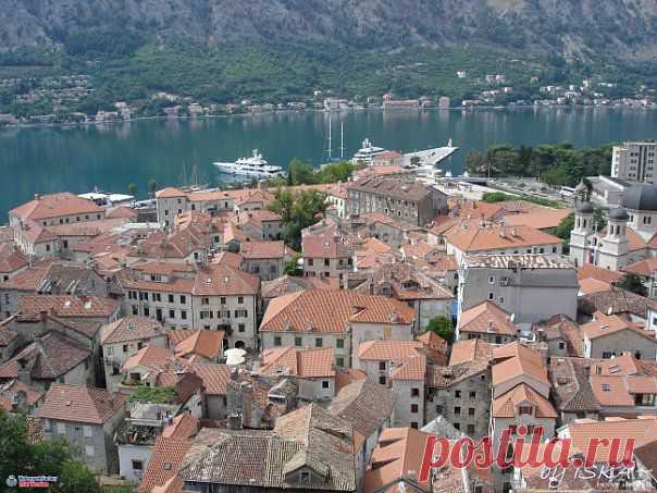 Kotor