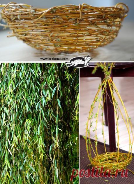 How to Weave a Willow Basket? | krokotak