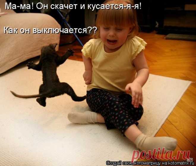 Очередная забавная котоматрица.