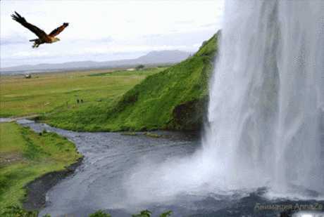 Живые фотографии – Живые картинки – Сообщество – Google+