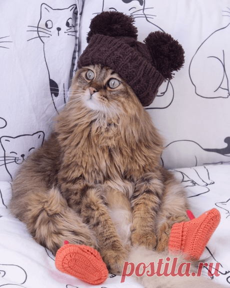 Просто посмотрите на нее: r/aww