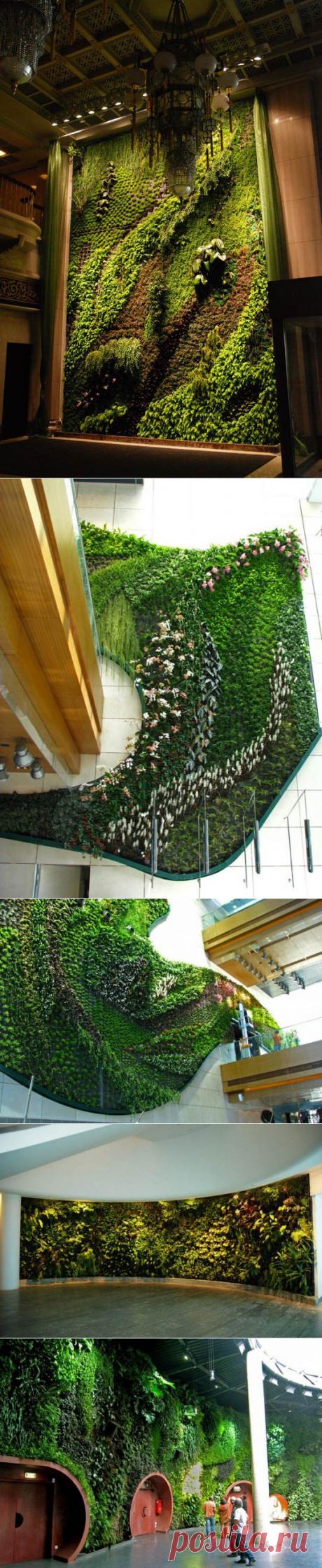 Красивые вертикальные сады