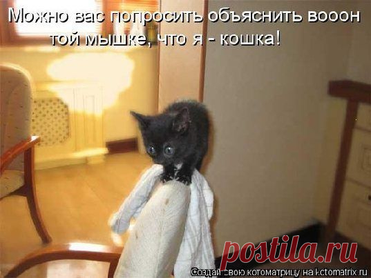 Винегретик)