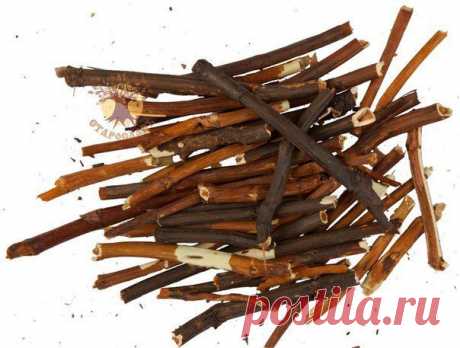 САБЕЛЬНИК ДЛЯ  / Абсолютное здоровье