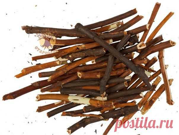 САБЕЛЬНИК ДЛЯ  / Абсолютное здоровье