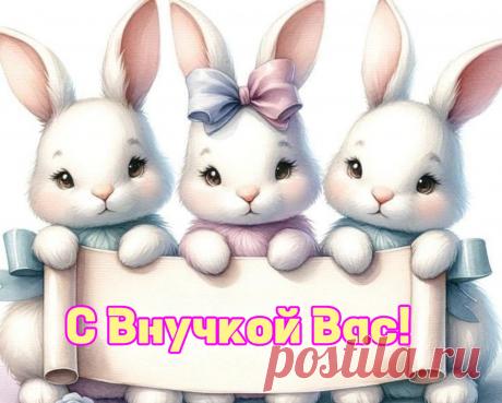 У бабушки и дедушки влажные глаза,
И катится хрустальная от радости слеза,
Теперь у вас есть внучка — чудесный голубок,
Красивый, очень нежный и ласковый цветок!