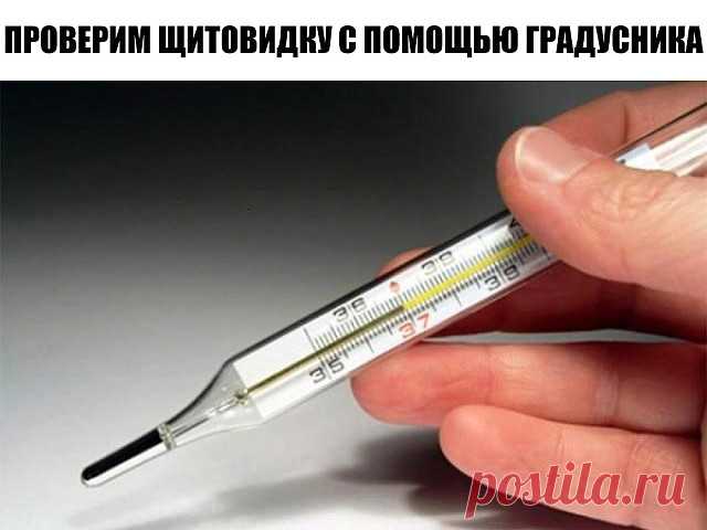Чтобы проверить щитовидную железу, понадобится лишь обычный термометр!