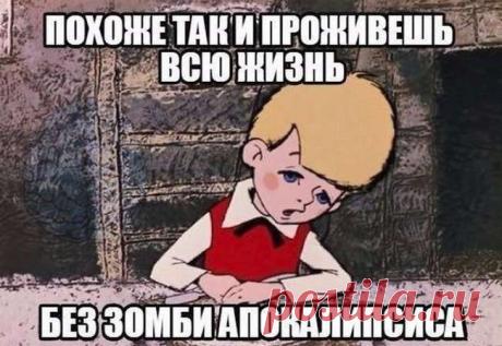 41 прикольная картинка для поднятия настроения . Тут забавно !!!