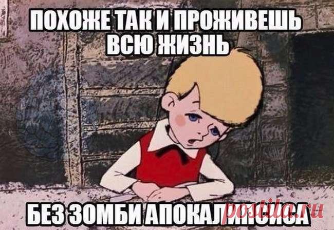 41 прикольная картинка для поднятия настроения . Тут забавно !!!