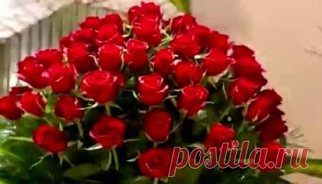 Сергей Сухачёв "Розы красные"