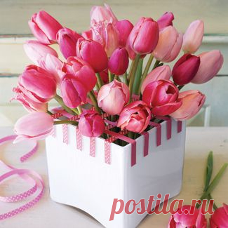 tulips.jpg (325×325)
