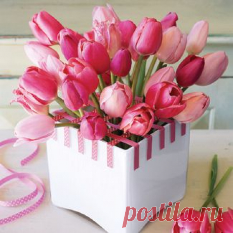 tulips.jpg (325×325)