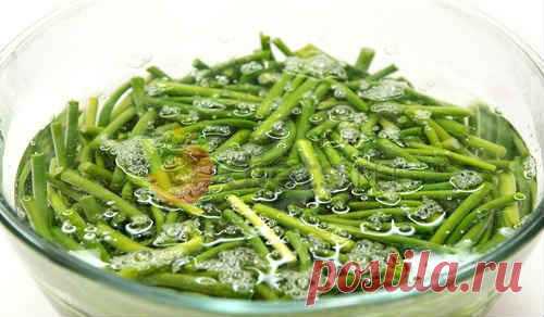 Чесночные стрелки на зиму - 14 рецептов, через мясорубку, по корейски,