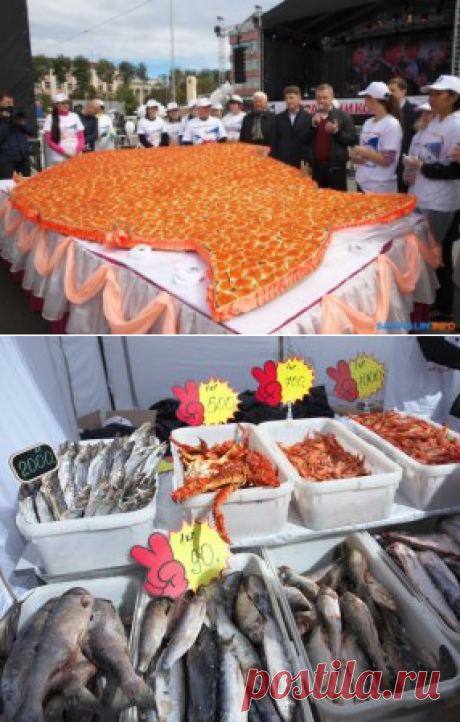 (48) Одноклассники