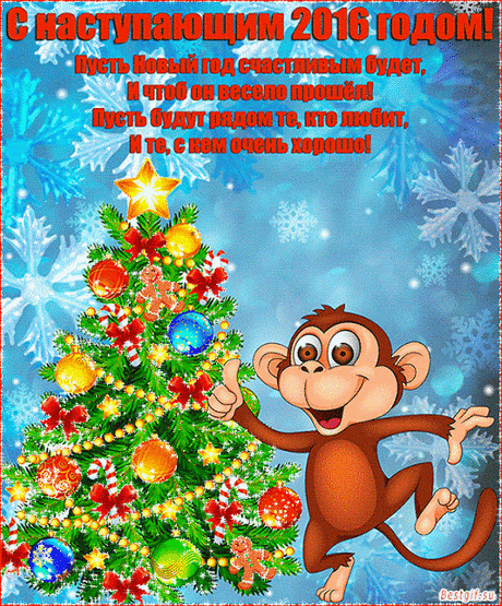 С Наступающим 2016 !