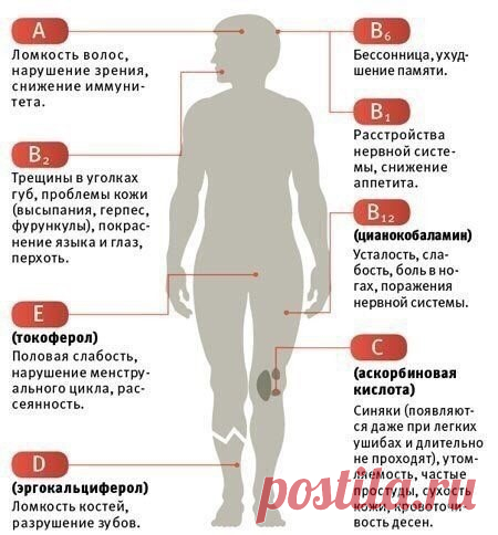 Как понять, в каких витаминах нуждается организм
Забирайте к себе на страничку!